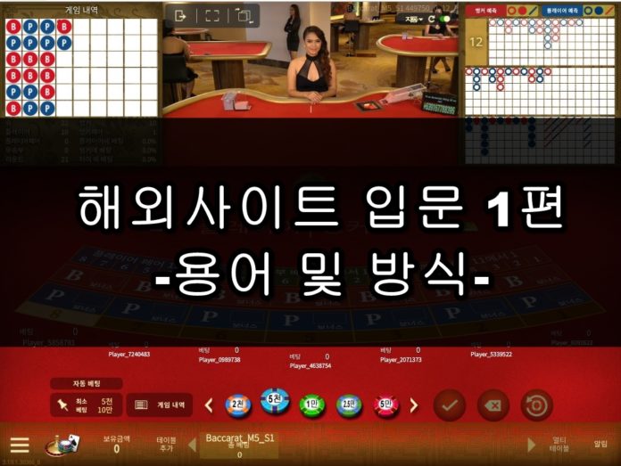 해외사이트 입문 해외사이트 입문