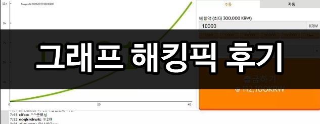 그래프 해킹픽 후기 그래프 해킹픽 후기